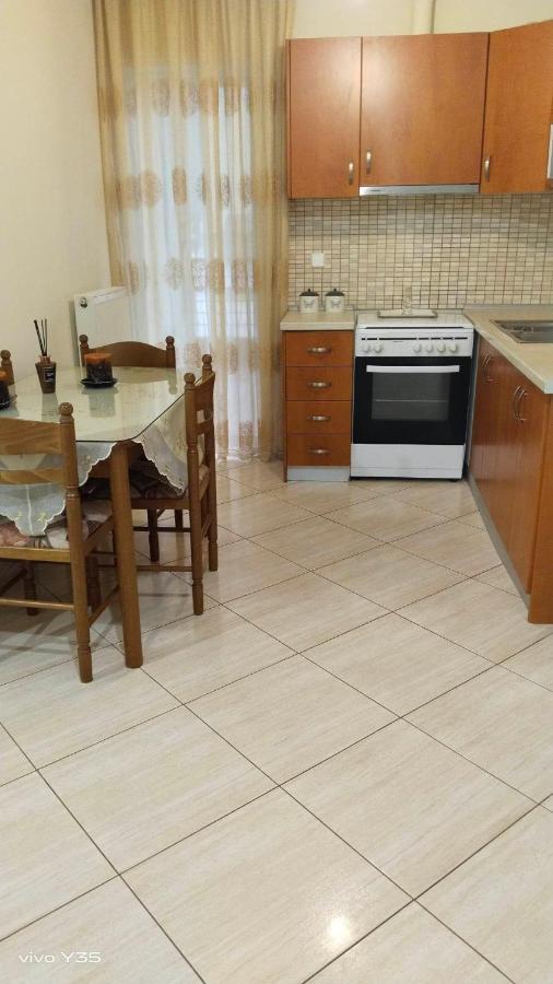Ομορφο διαμερισμα στο κεντρο της πολης με παρκιν Διαμέρισμα Τρίκαλα Εξωτερικό φωτογραφία