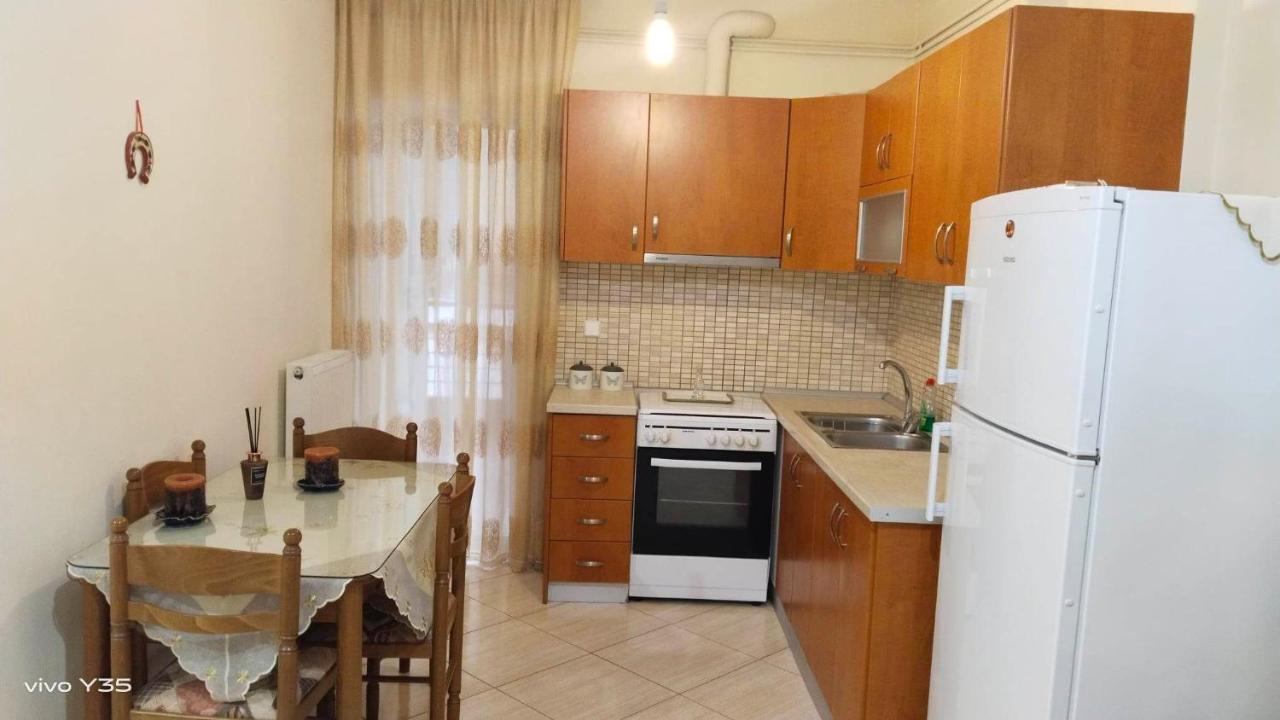 Ομορφο διαμερισμα στο κεντρο της πολης με παρκιν Διαμέρισμα Τρίκαλα Εξωτερικό φωτογραφία